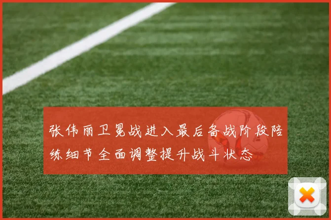 张伟丽卫冕战进入最后备战阶段陪练细节全面调整提升战斗状态